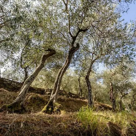 Relax E Natura..a 300mt Da Portobello! *